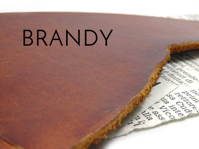 Peregrine Leather Sample - Falcon Travelers