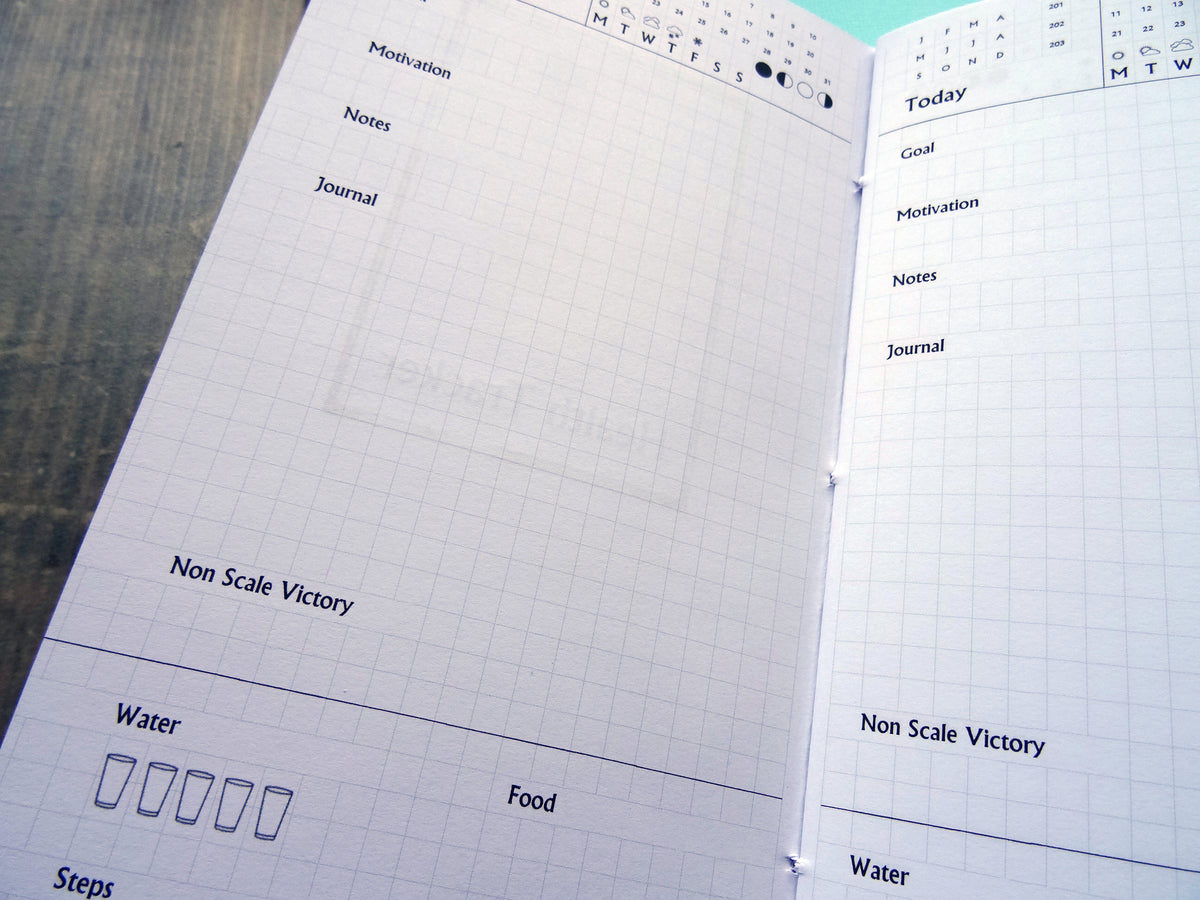 Health Tracker, Cardstock - Falcon Travelers