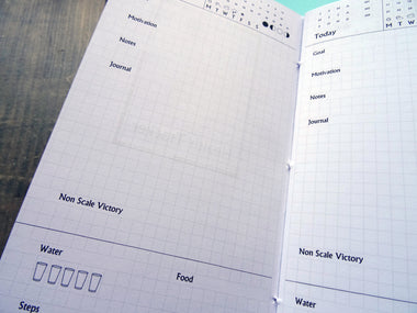 Health Tracker, Cardstock - Falcon Travelers