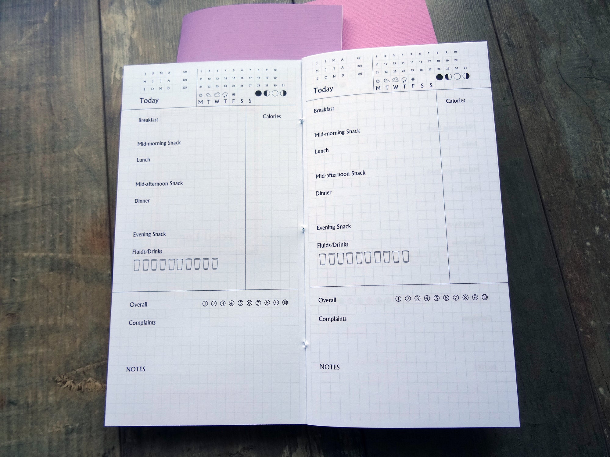 Food Tracker, Cardstock - Falcon Travelers