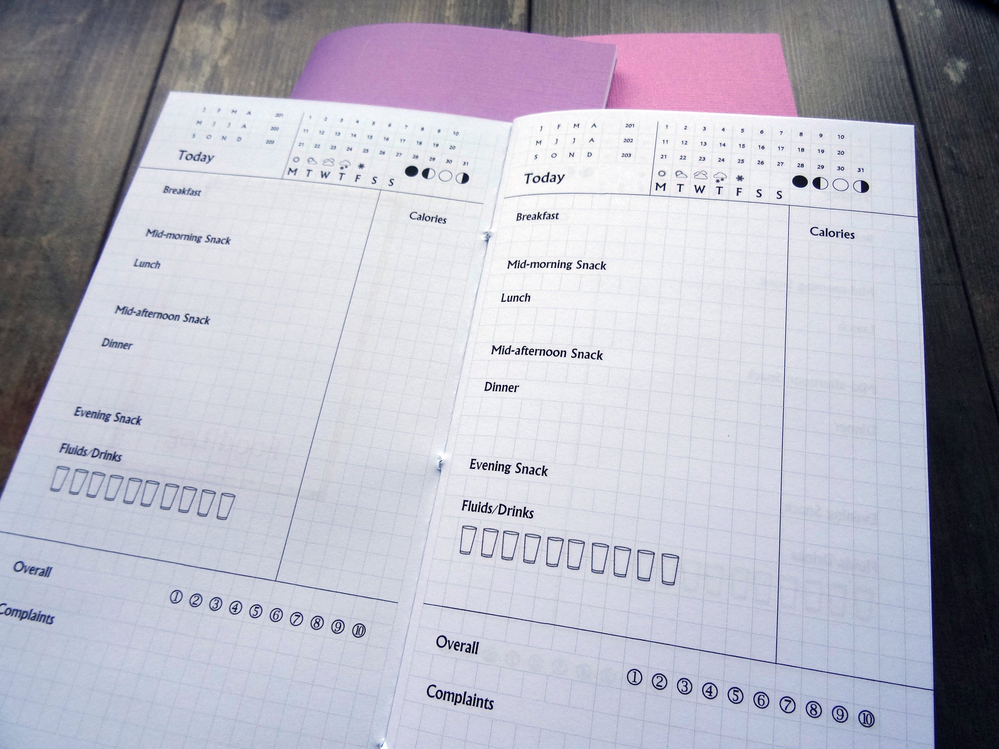 Food Tracker, Cardstock - Falcon Travelers