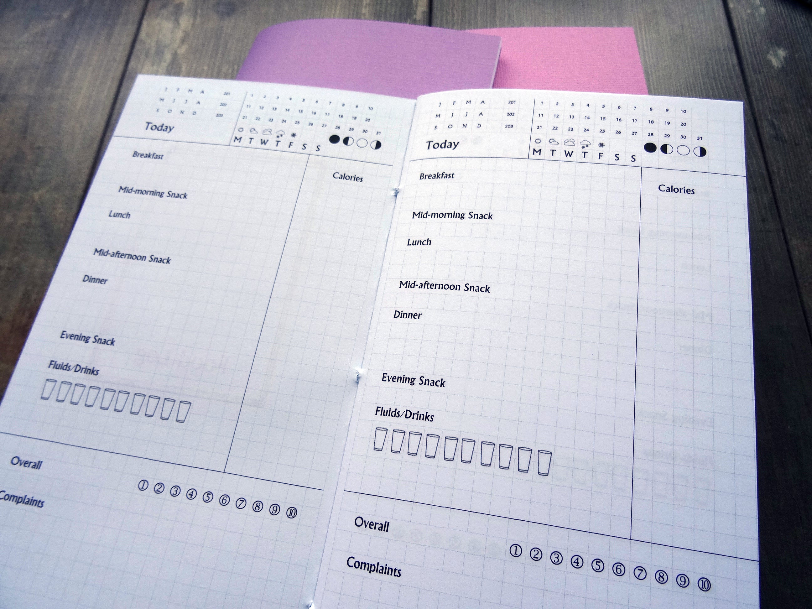 Food Tracker, Cardstock - Falcon Travelers