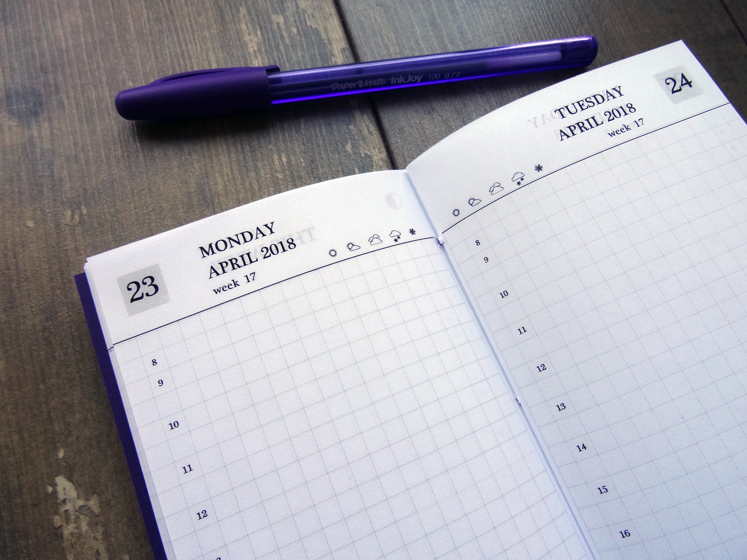 Day per Page Diary, Cardstock - Falcon Travelers