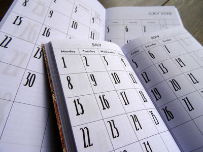 Monthly Diary, Bold, Cardstock - Falcon Travelers