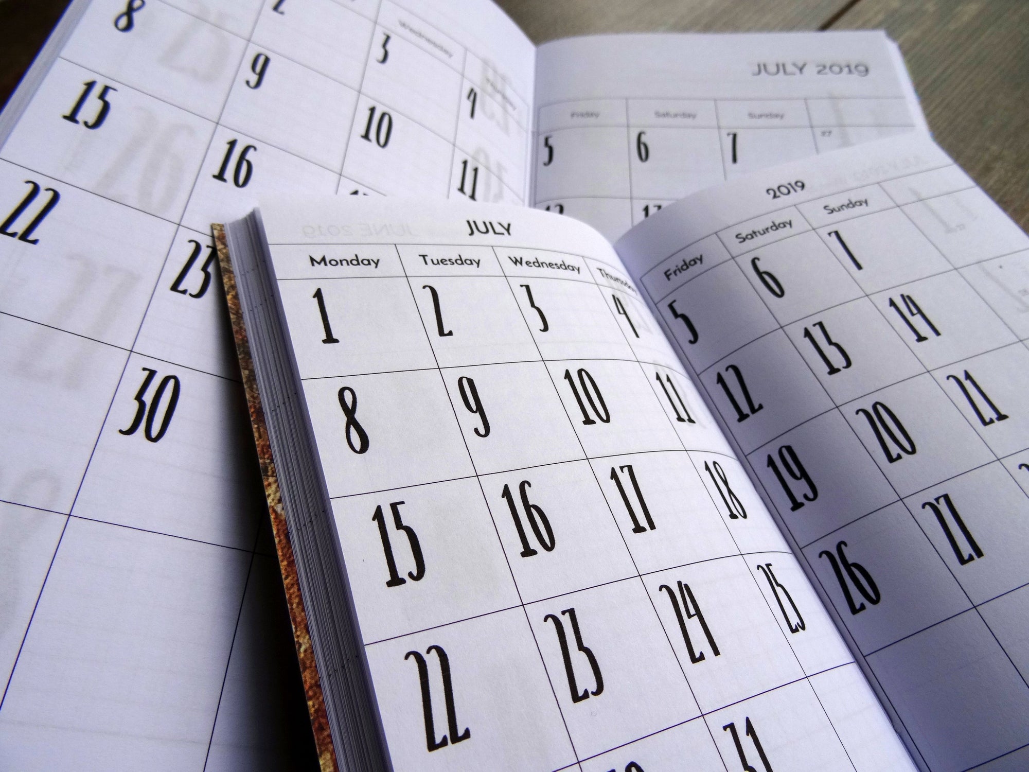 Monthly Diary, Bold, Design - Falcon Travelers