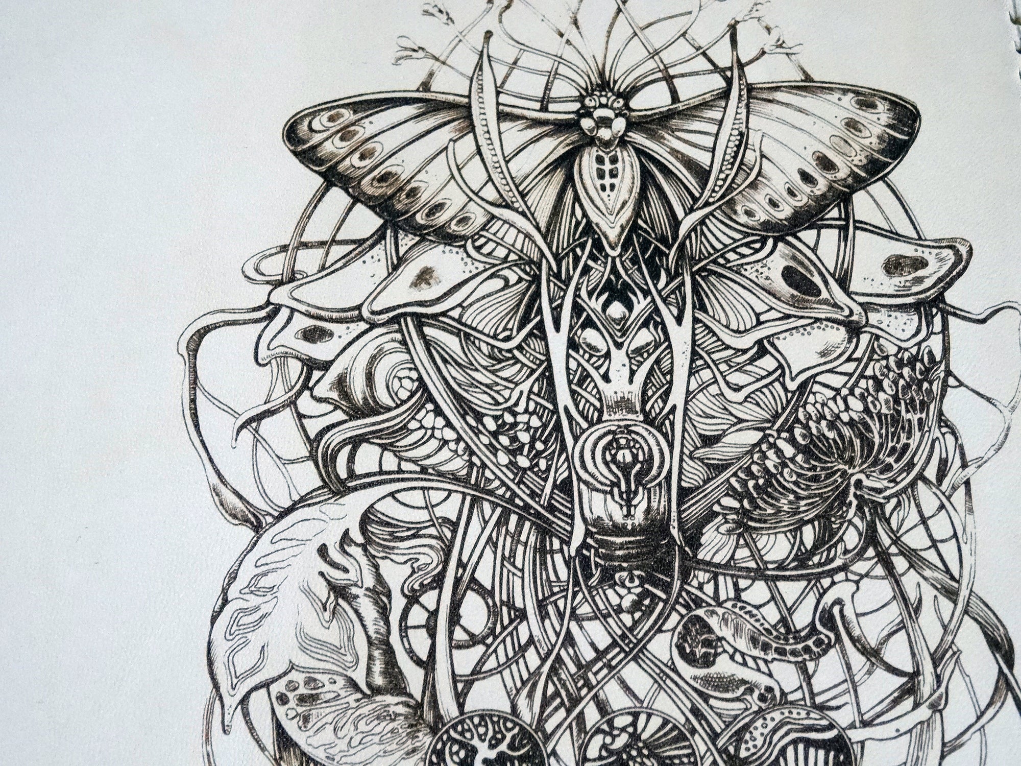 Engraved Metamorphosis Add-On, Falcon Travelers, Traveler's Notebook Add-on, Lady Falcon, Travelers, Notebook, Traveler's, Journaling, Planner, writing, leather, cover