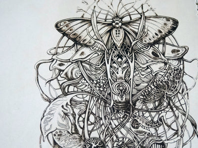 Engraved Metamorphosis Add-On, Falcon Travelers, Traveler's Notebook Add-on, Lady Falcon, Travelers, Notebook, Traveler's, Journaling, Planner, writing, leather, cover